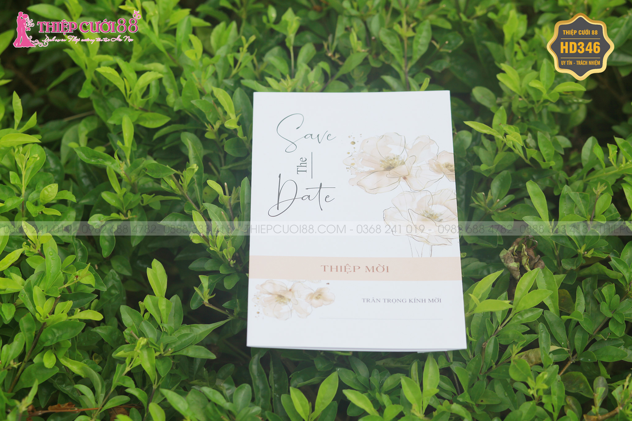 Mẫu thiệp cưới HD346