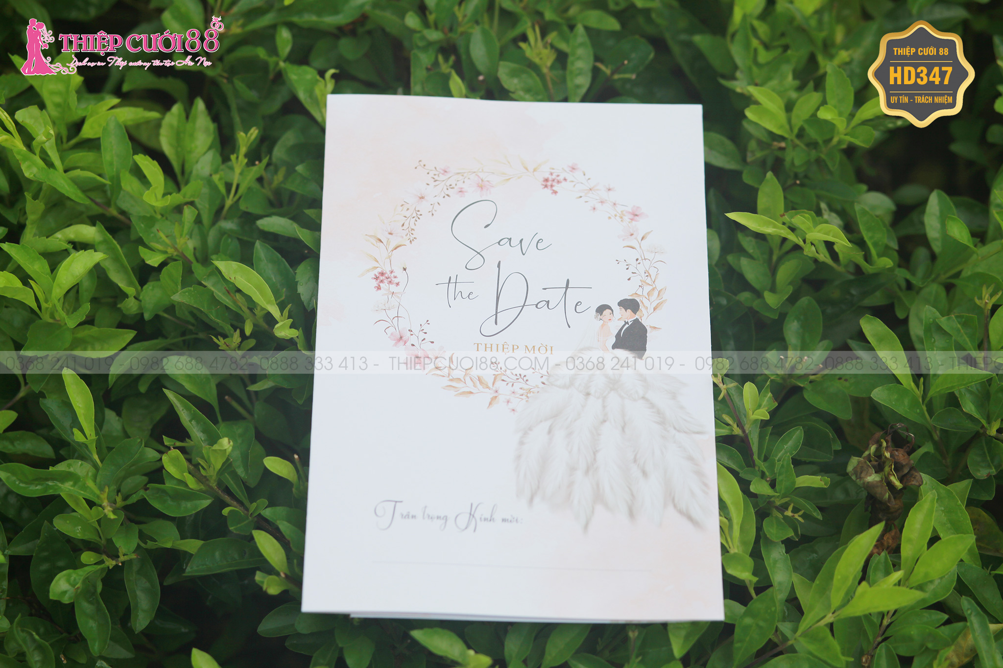 Mẫu thiệp cưới HD347