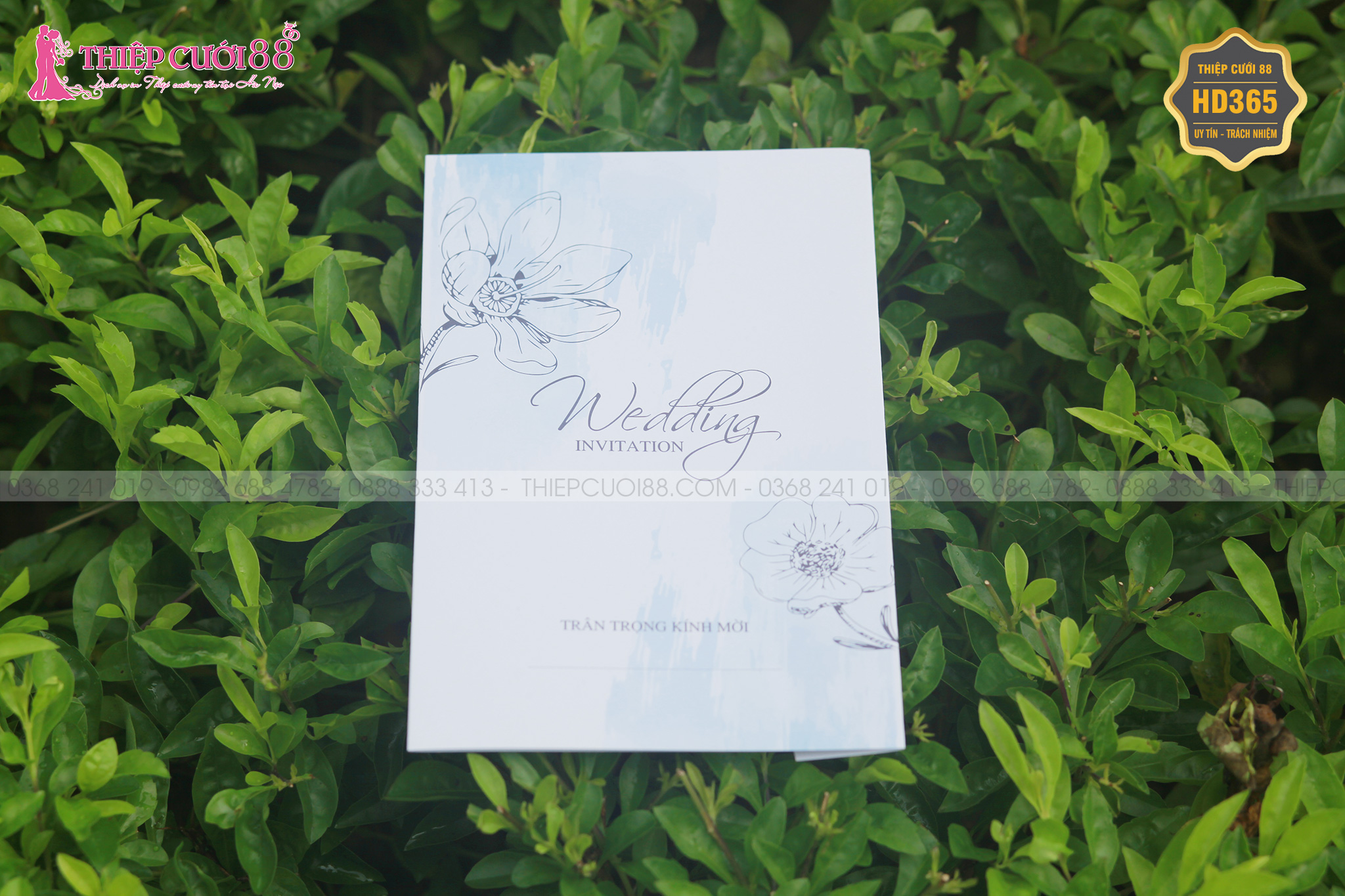Mẫu thiệp cưới HD365