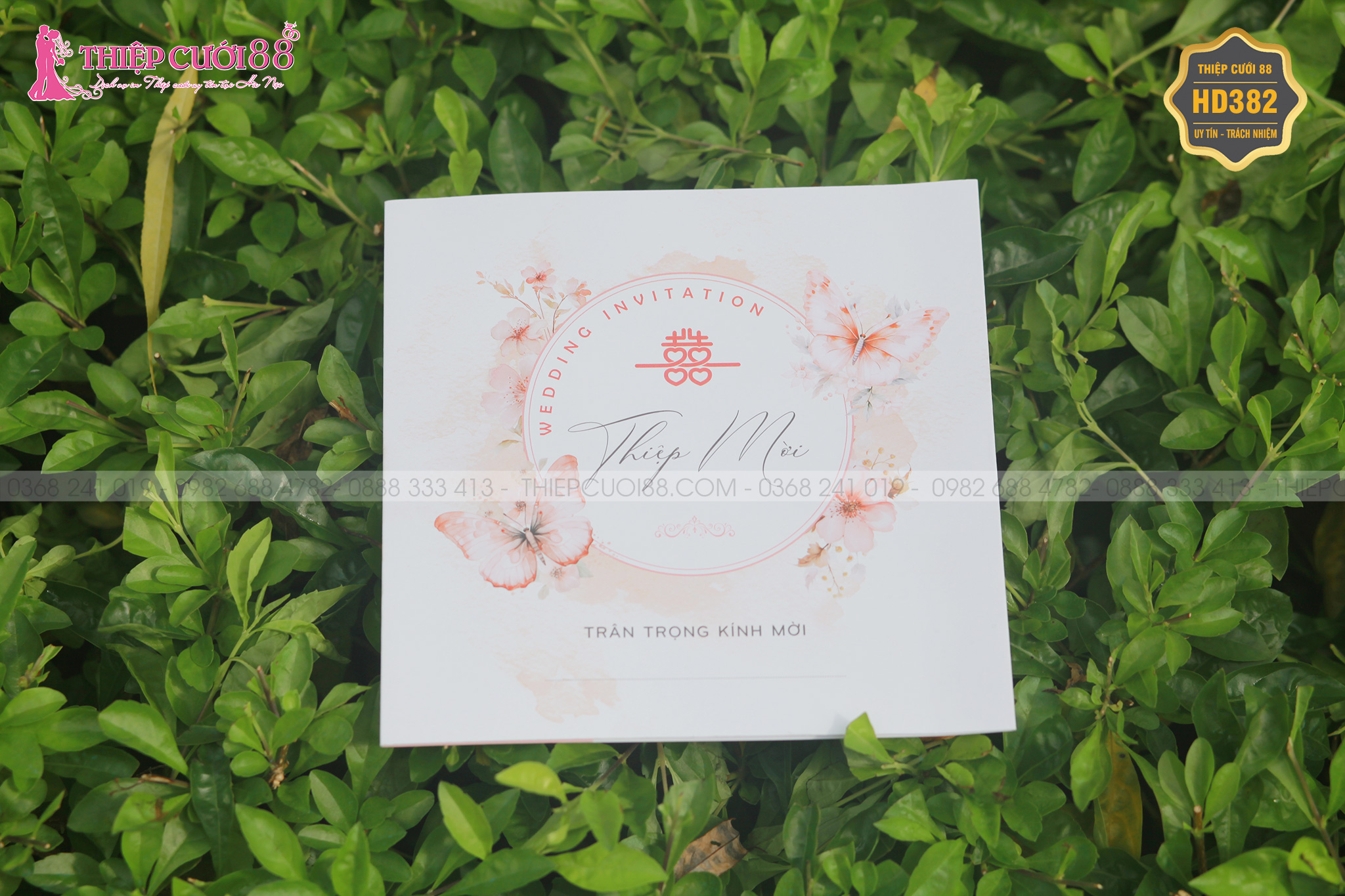 Mẫu thiệp cưới HD382